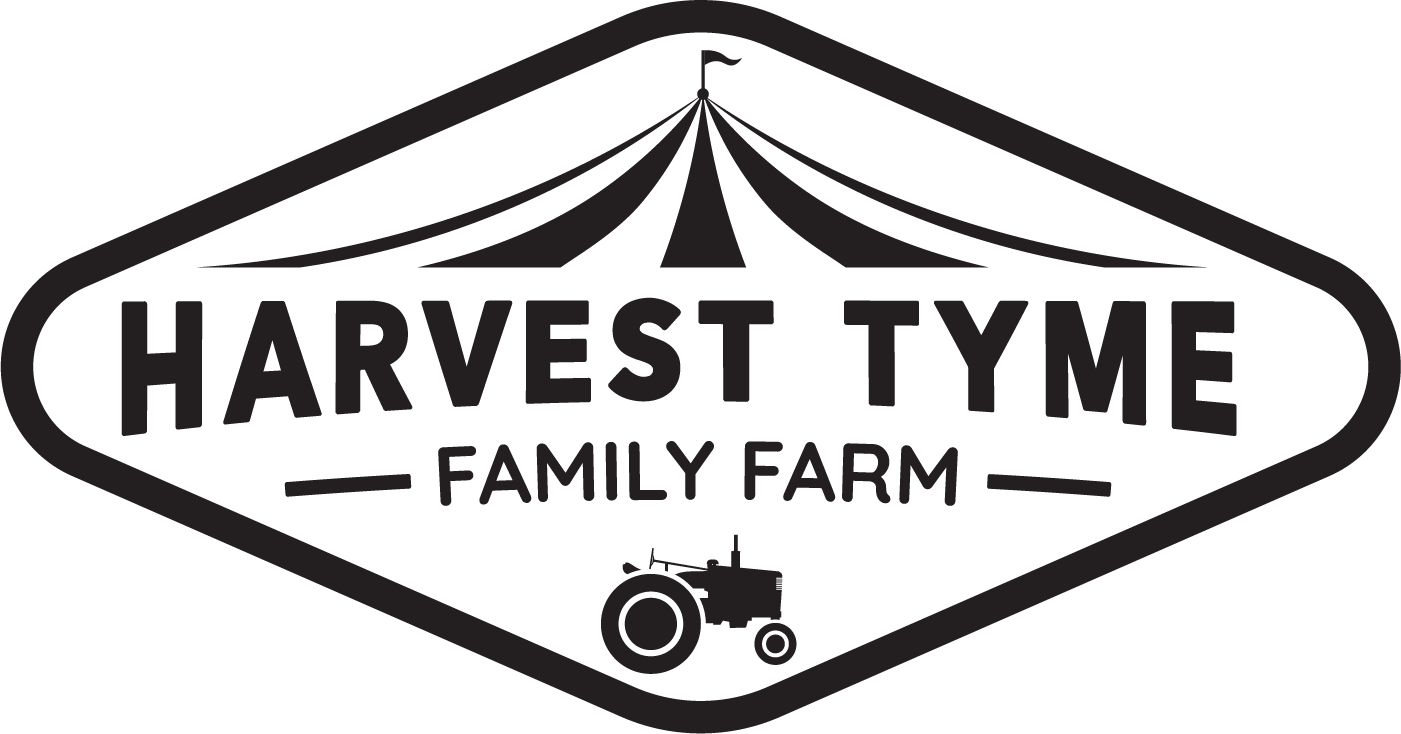 Christmas Tyme Lights 2021